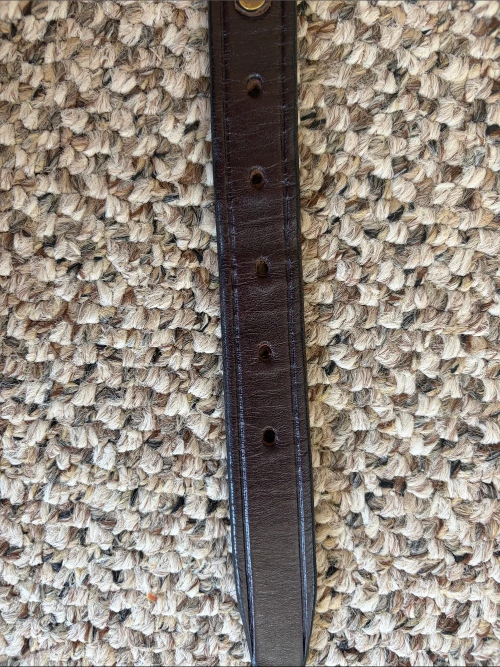 Tory Brown Leather Kids Belt with Solid Brass Buckles and Snaffle Bits